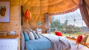 Domescapes in the Vines - Accommodation Resorts